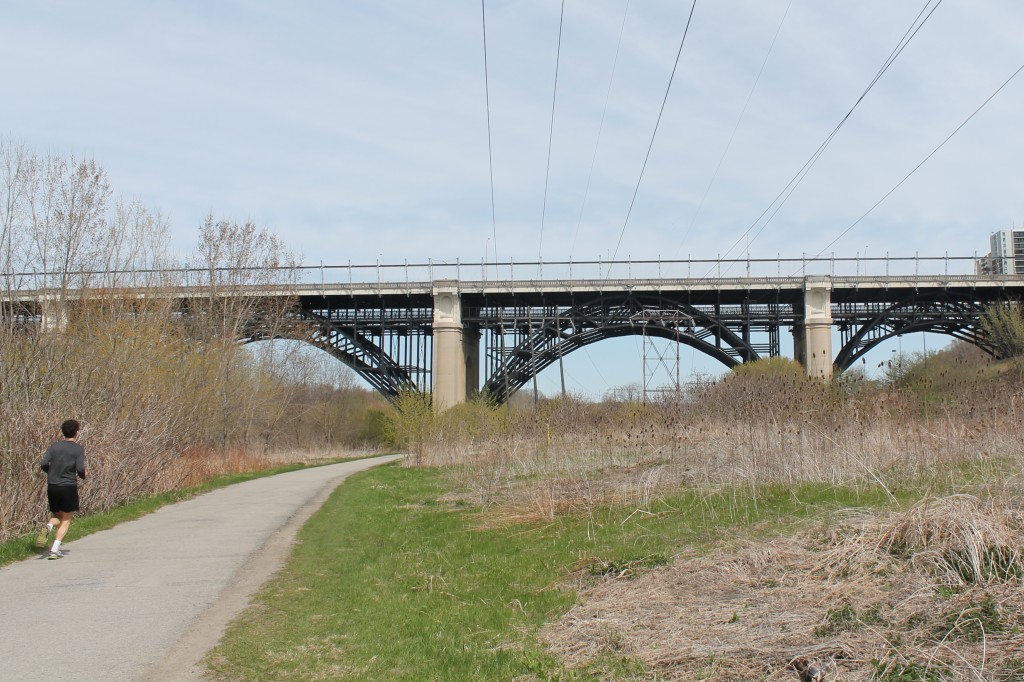 The Don Trail